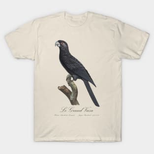 Greater Vasa Parrot / Le Grand Vaza - 19th century Jacques Barraband Illustration T-Shirt